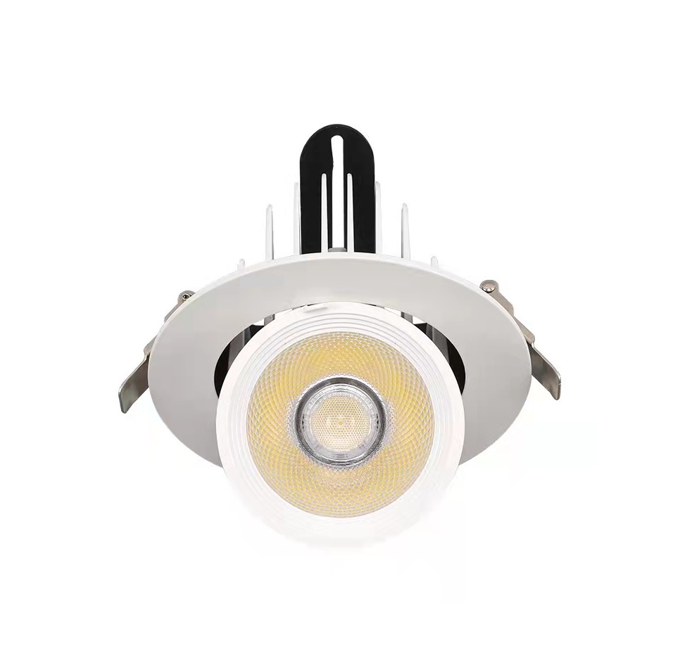 Downlight de nariz de elefante de iluminação interna China fabricantes-LEDER, luz subaquática, luz enterrada, luz do gramado, holofote, luz de parede, luz de jardim, luz de arruela de parede, luz de linha, fonte de luz pontual, luz de trilha, luz para baixo, faixa de luz, lustre, mesa luz, luz de rua, luz alta baía, crescer luz, luz personalizada não padronizada, projeto de iluminação interior, projeto de iluminação ao ar livre