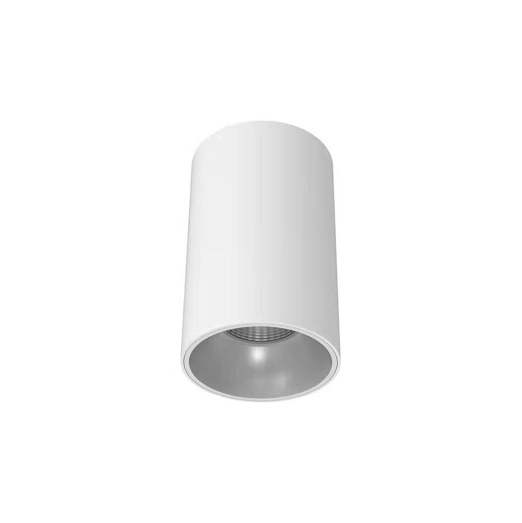 Oppervlak gemonteerde 100w onderlig kommersiële beligting ingenieurswese verkies-LEDER, Onderwater lig, Begrawe lig, Grasperk lig, Spreilig, Muur lig, Tuin lig, Wall Washer lig, Lyn lig, Punt lig bron, Spoor lig, Af lig, lig strook, Kandelaar, Tafellig, Straatlig, Hoëbaailig, Groeilig, Nie-standaard pasgemaakte lig, Binnebeligtingsprojek, Buitelugbeligtingsprojek